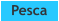 Pesca