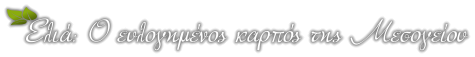 Ελιά: Ο ευλογημένος καρπός της Μεσογείου