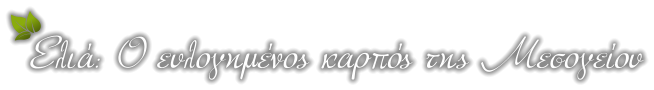 Ελιά: Ο ευλογημένος καρπός της Μεσογείου