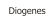 Diogenes