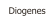 Diogenes