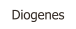 Diogenes